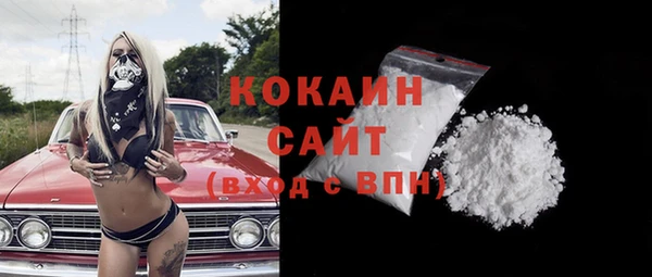 гидра Медвежьегорск