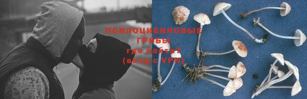 альфа пвп Михайловск
