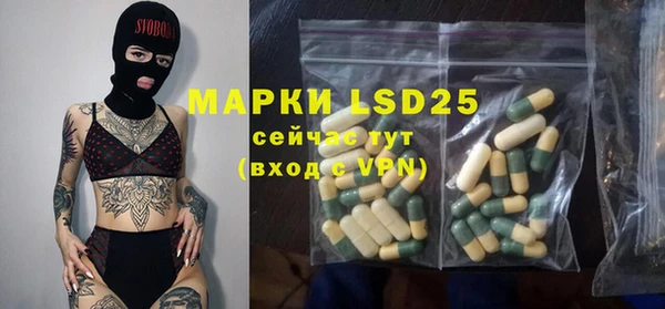 гидра Медвежьегорск
