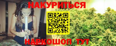 стаф Гатчина