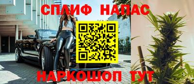 стаф Гатчина