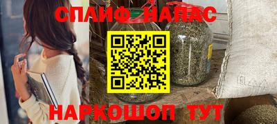 стаф Гатчина