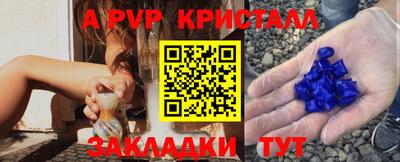 стаф Гатчина