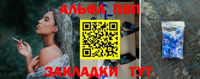 стаф Гатчина