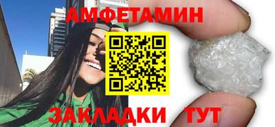 стаф Гатчина