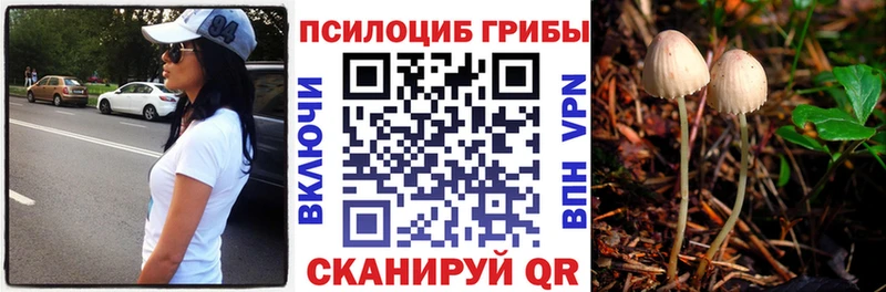 хочу   Орск  Галлюциногенные грибы прущие грибы 