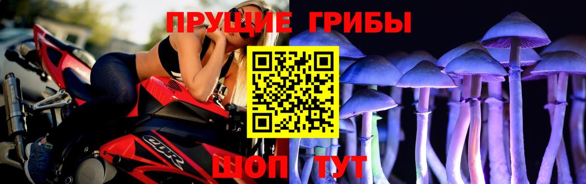 Орск  Галлюциногенные грибы GOLDEN TEACHER  Вход с VPN 