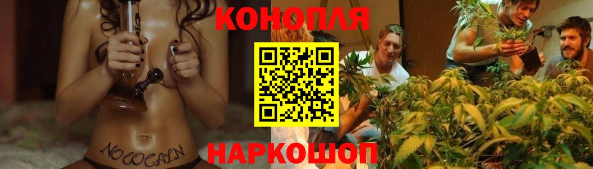 Бошки Шишки Ganja  Канабис сатива  Вход с VPN  Орск  МАРИХУАНА планчик  Бошки марихуана индика 